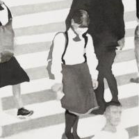 Camouflage In Transit